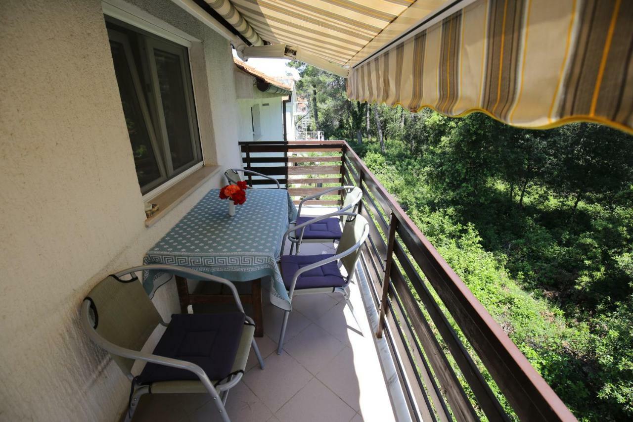 Apartments Paleka ペトルチャネ エクステリア 写真